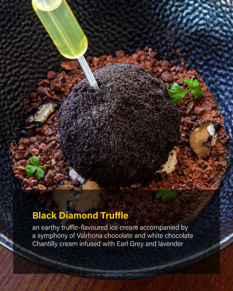 Black-Diamond-Truffle_P