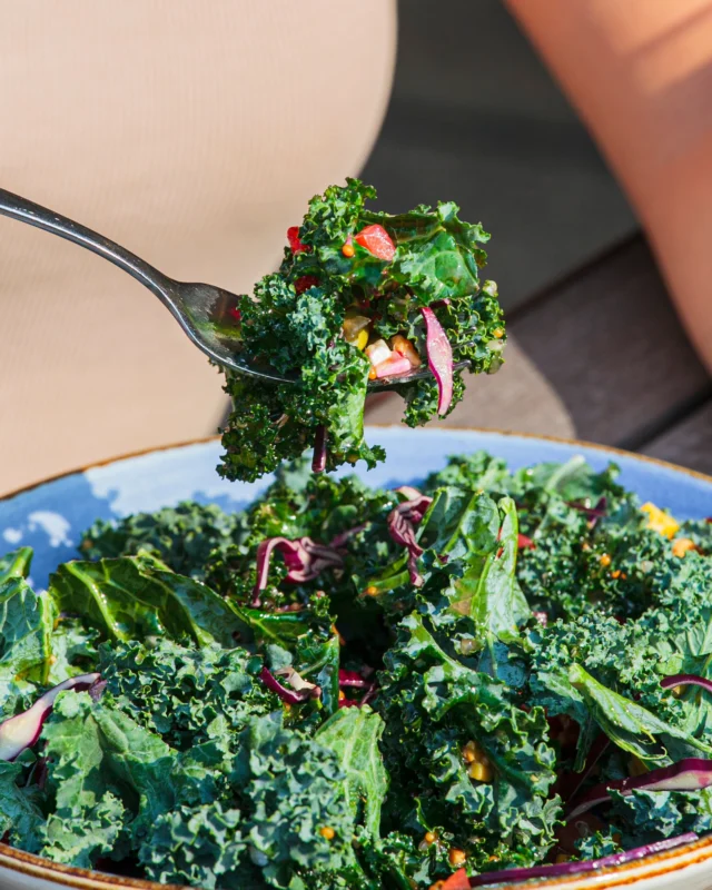Packed with powerhouse ingredients like kale, red cabbage, quinoa, beetroot, feta cheese, and pumpkin seeds all tossed in a zesty honey mustard vinaigrette. Our Superfood Salad is your go-to for a wholesome, hearty bite that doesn’t skimp on taste.

Whether you’re balancing out a weekend indulgence or just craving something fresh, it’s the perfect companion to an ice-cold craft beer. Because eating well should still feel like a treat.

Come dig into deliciousness at our Brewerkz outlets! 

#brewerkz #brewerkzsg #salads #saladbowl